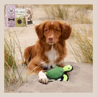 Döme Kutyalépcső és Rámpa