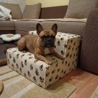 Funky kutyalépcső 30 x 50 x 50cm - bézs alapon barna kis tappancsok