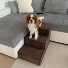 Daisy kutyalépcső 40 x 35 x 60cm - barna