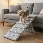 Kutyarámpa oldal nézetből, rajta áll egy tacskó