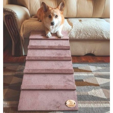 Kutyarámpa előlnézetből, cuki corgi kutyussal