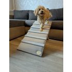 Kompakt, állítható kutyarámpa - praktikus segítség kutyusoknak és gazdiknak egyaránt