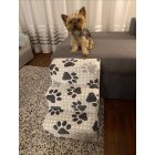 Missy kutyalépcső 40 x 35 x 50cm - szürke alapon fehér szívek és tappancsok
