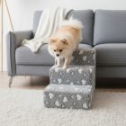 Daisy kutyalépcső 40 x 35 x 60cm - szürke alapon fehér szívek és tappancsok