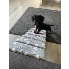 Molly kutyarámpa 80 x 30cm - szürke alapon fehér szívek és tappancsok