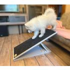 Kölyökkutya lejön a rámpán