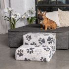 Kettő fokos kutyalépcső francia bulldoggal a kanapén