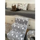 Yorki kutyus fekszik a kanapén, előtte a szívecskés mintájú kutyalépcsője.