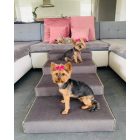 4 fokos lépcső Yorki kutyusoknak, sötétszürke színben