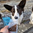 Halas Félnedves Jutalomfalat Kutyáknak 100g