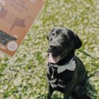 Sertésmáj Félnedves Jutalomfalat Kutyáknak 100g