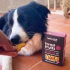 Erdeigyümölcsös Keksz Kutyáknak 140g