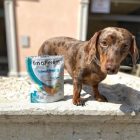 Fagyasztva szárított szardinia tréning snack 40g