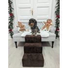 Missy kutyalépcső 40 x 35 x 50 cm - 44-es világosbarna damask bútorszövet