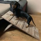 Molly kutyarámpa 80 x 30cm - mokka minky