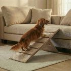 Molly kutyarámpa 80 x 30cm - mokka minky