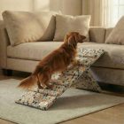 Molly kutyarámpa 80 x 30cm - színes pici mancsok és csontok