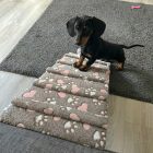 Molly kutyarámpa 80 x 30cm - szürke alapon rózsaszín szívecskék és fehér kis tappancsok