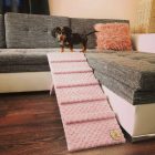 Molly kutyarámpa 80 x 30cm - rózsaszín minky