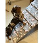 Lora kutyarámpa 80 x 40cm - szürke alapon rózsaszín szívecskék és fehér kis tappancsok