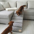 Lora kutyarámpa 80 x 40cm - szürke minky