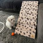 Charly kutyarámpa 90 x 40cm -  bézs alapon barna kis tappancsok