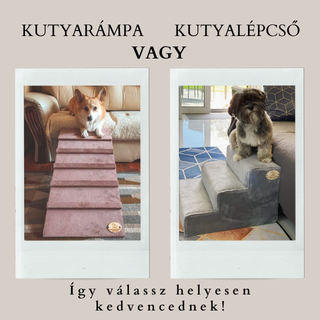 Kutyarámpa vagy kutyalépcső?
